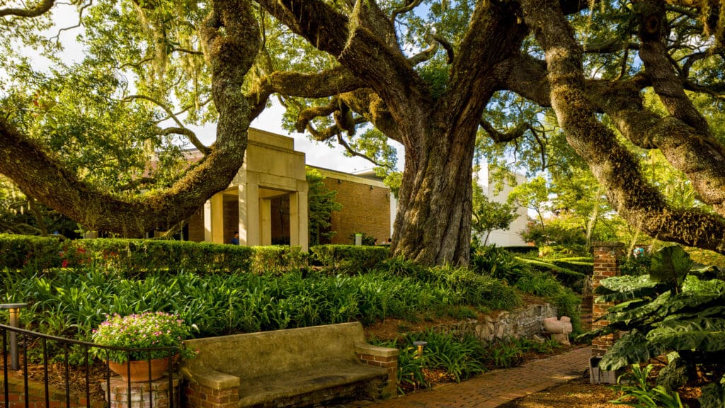 a photo of the Cummer Museum gardens facing the St. Johns River